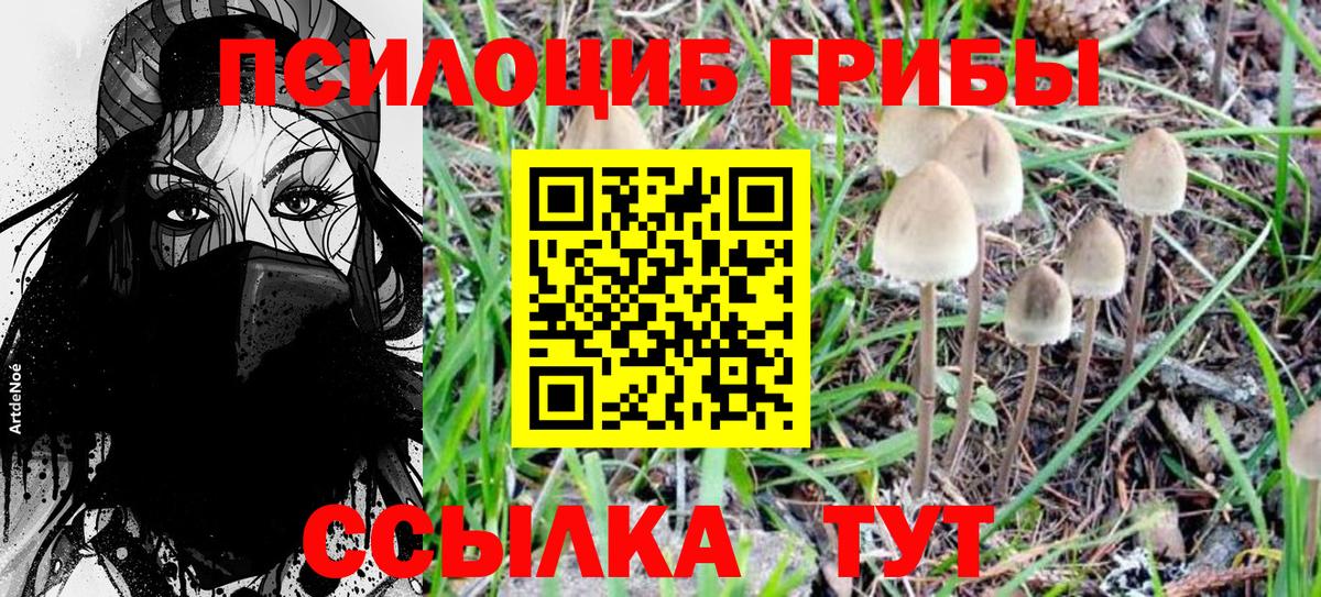 Галлюциногенные грибы Cubensis Углич