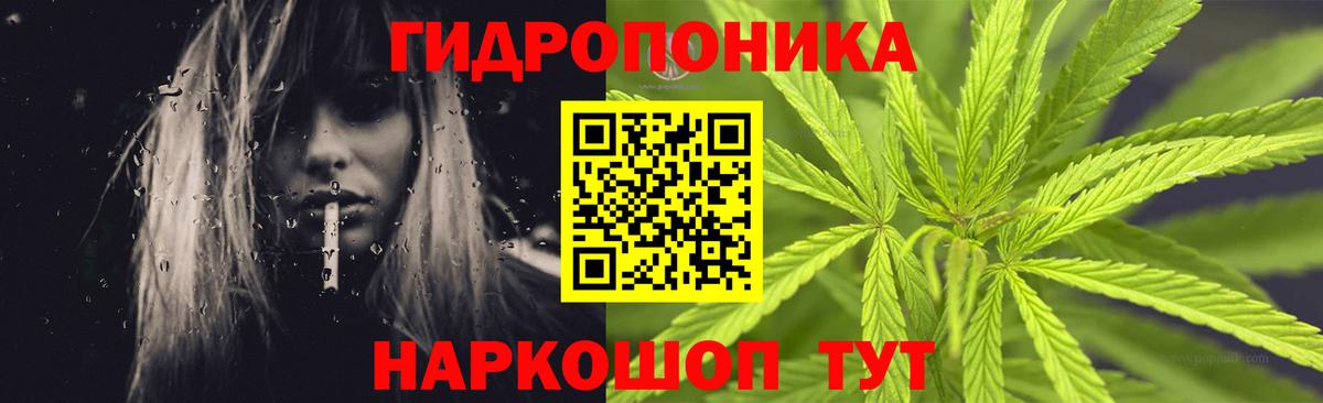 МАРИХУАНА SATIVA & INDICA  Канабис Bruce Banner  Вход с VPN  Углич 